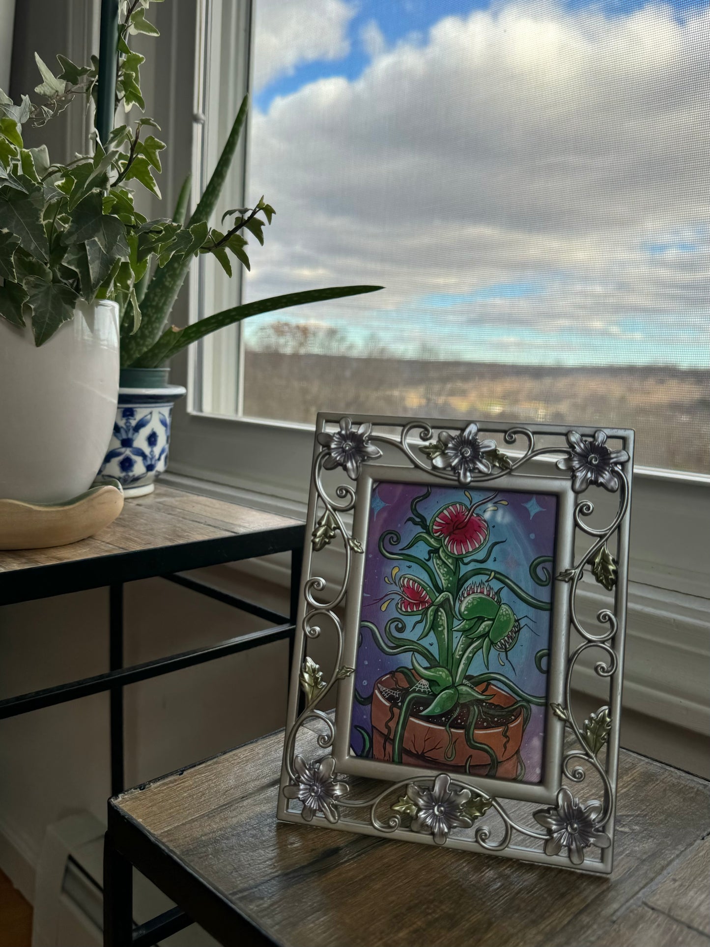 Venus Frame