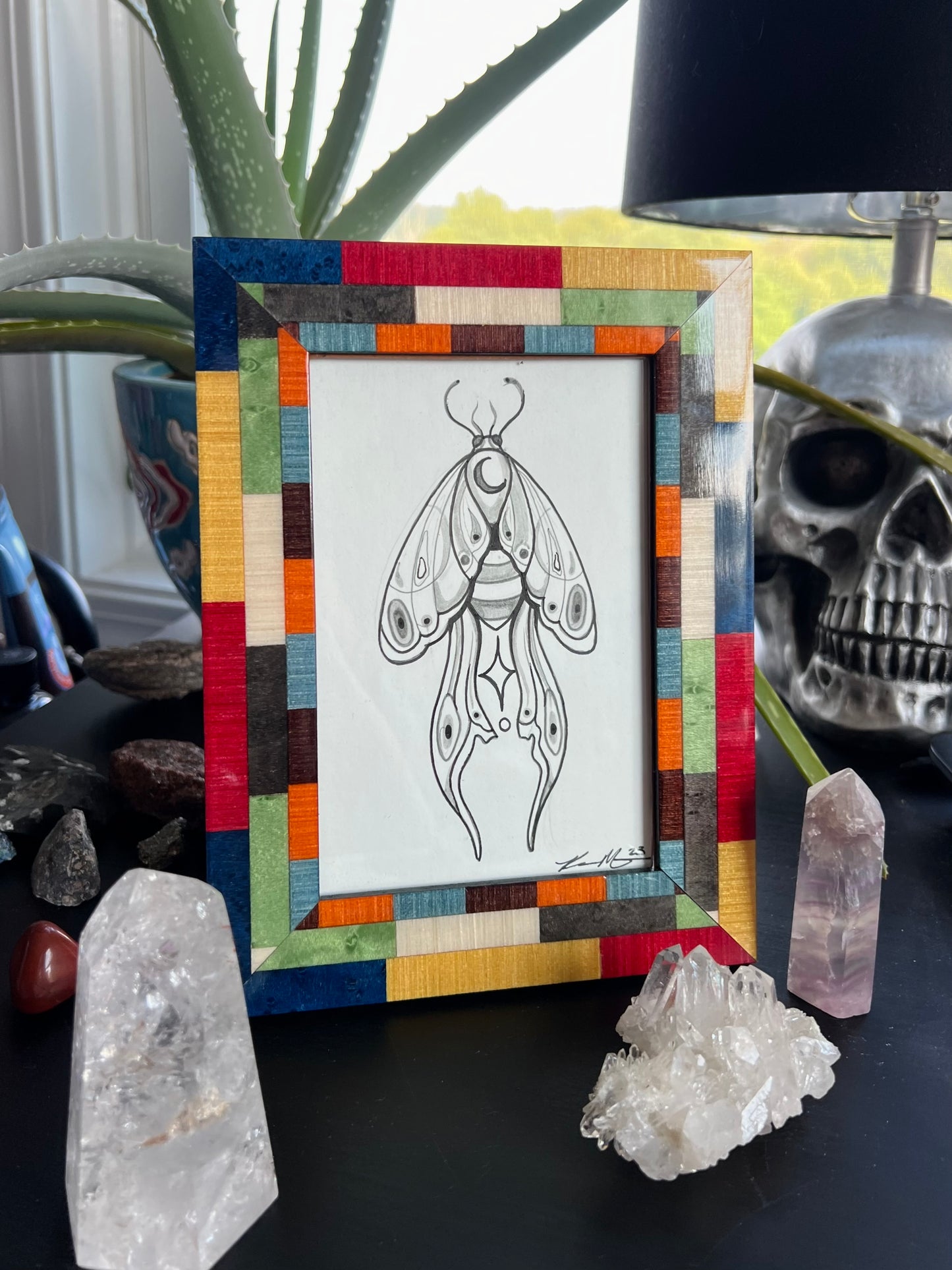 Moth Frame