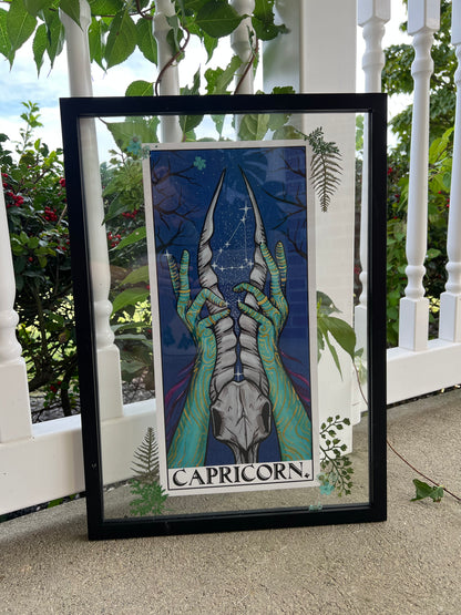 Capricorn Frame