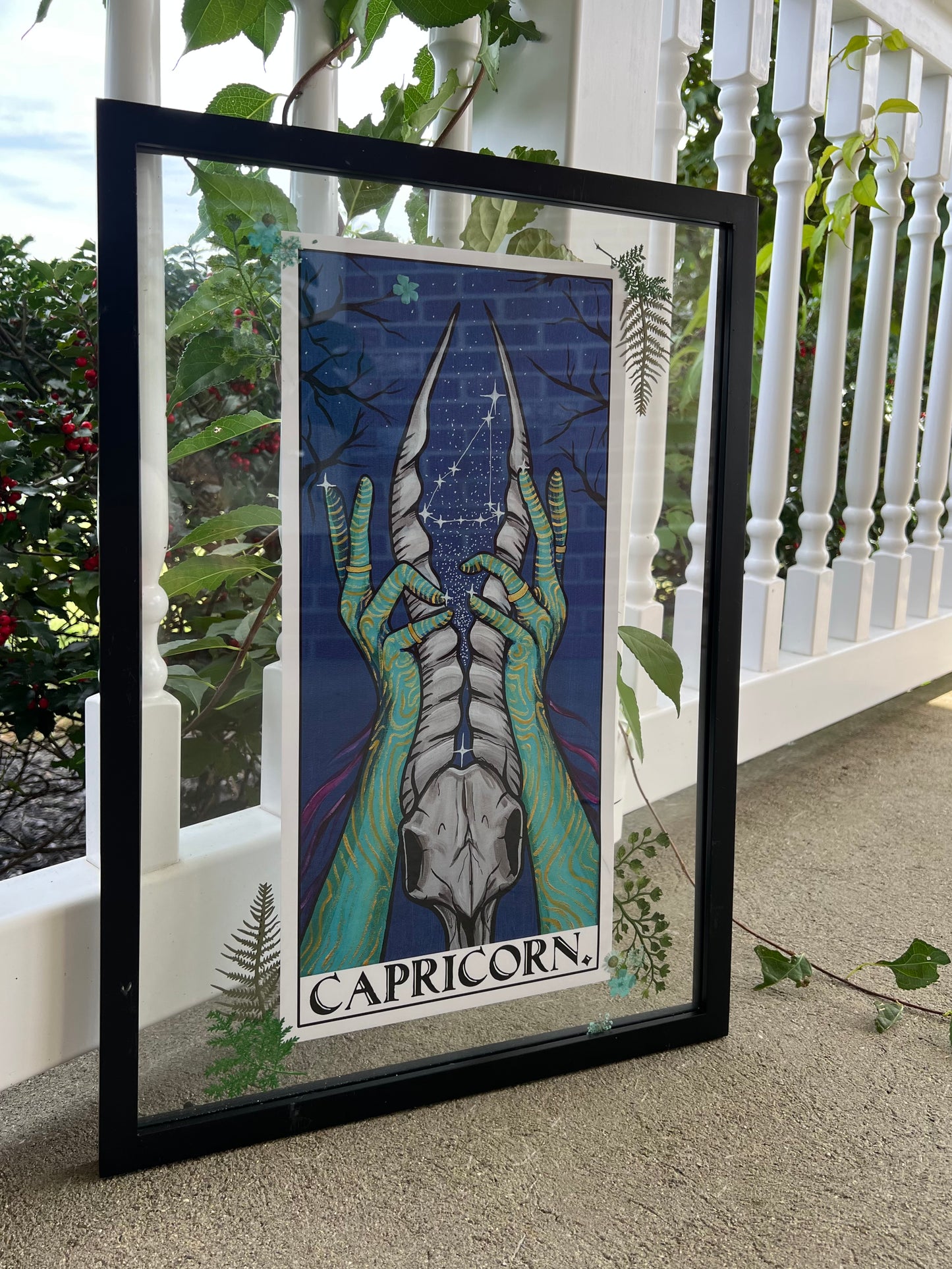 Capricorn Frame