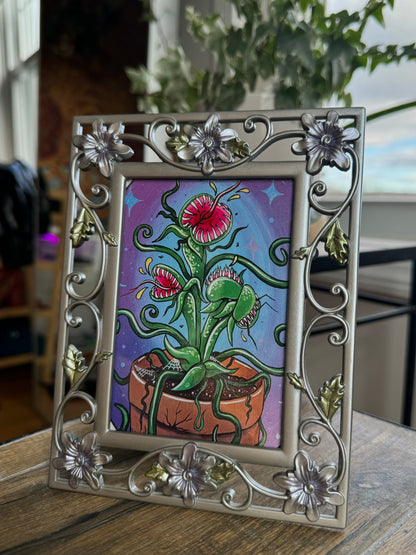 Venus Frame