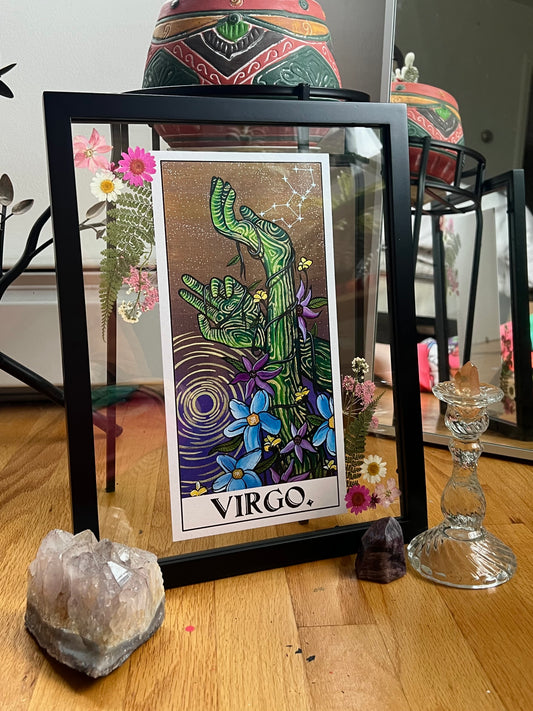 Virgo Frame