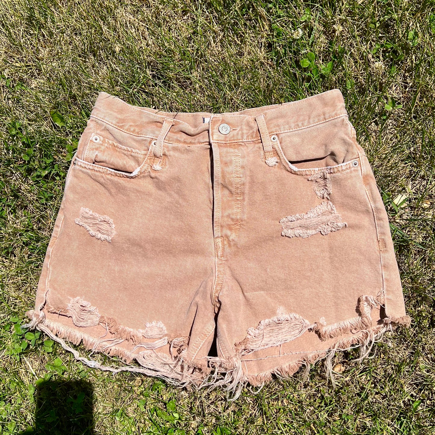 SNAIL SHROOM SHORTS